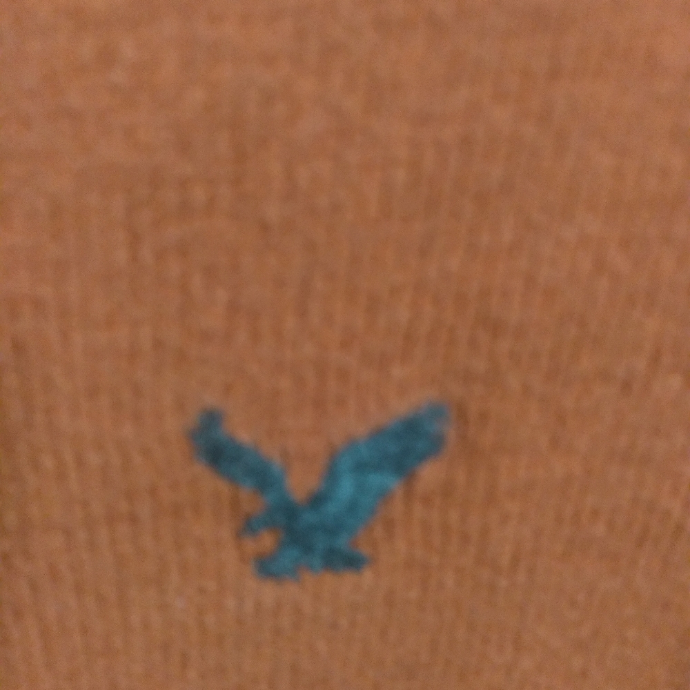 American Eagle Outfitters Superior Quality sweater A.E.O. 1977 Size Medium - Picture 3 of 4